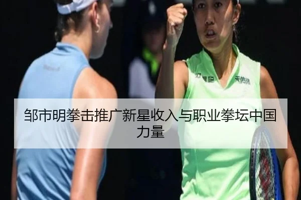 邹市明拳击推广新星收入与职业拳坛中国力量